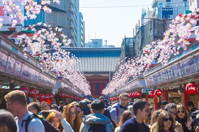Mount Fuji Full Day Tour form Tokyo Lake Kawaguchi & Yamanaka - Stop 4: Oishi Park for Seasonal Color and Quick Resets