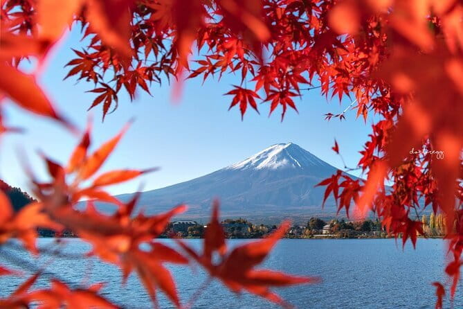 Mount Fuji Full Day Tour form Tokyo Lake Kawaguchi & Yamanaka - Stop 5: Arakurayama Sengen Park and the Chureito Pagoda Shot