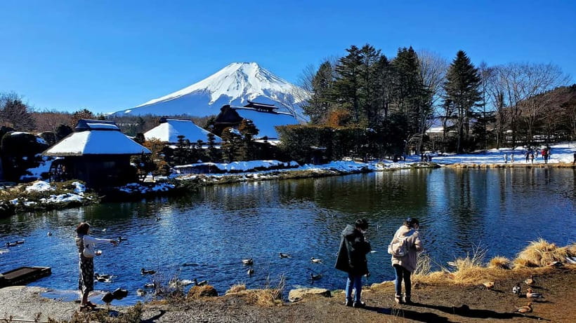 Mount Fuji & Hakone Full-Day Private Tour (Customizable) - Key things to know before you go