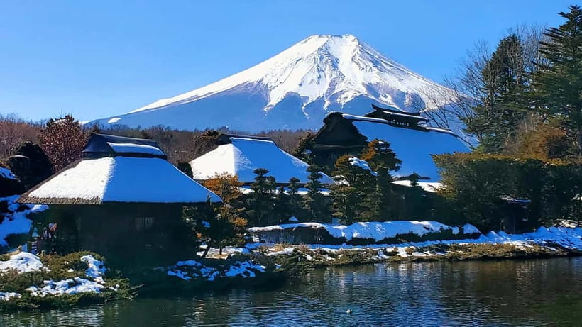Mount Fuji & Hakone Full-Day Private Tour (Customizable) - Price and what $452 per group really means for your day