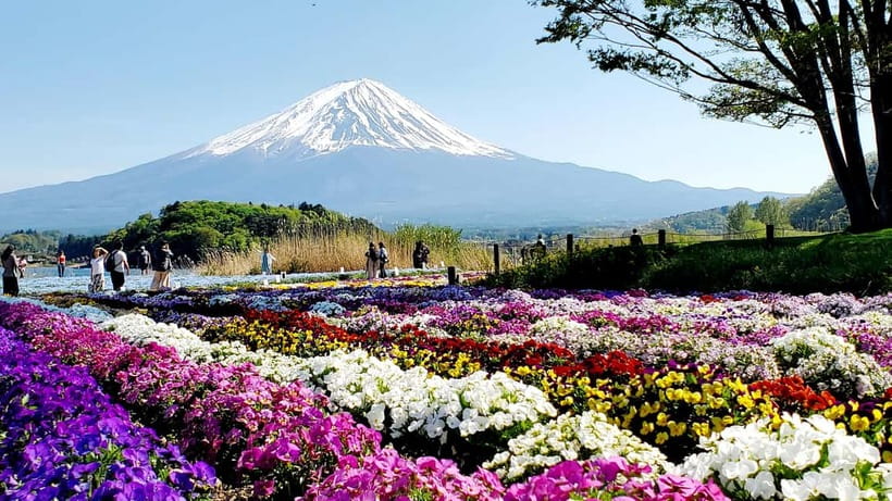 Mount Fuji & Hakone Full-Day Private Tour (Customizable) - How the 10-hour Fuji and Hakone plan actually works from Tokyo