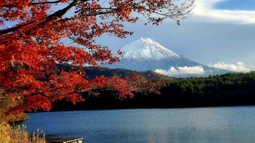 Mount Fuji & Hakone Full-Day Private Tour (Customizable) - Kitaguchi-Hongu Fuji Sengen Shrine: more than just pretty grounds