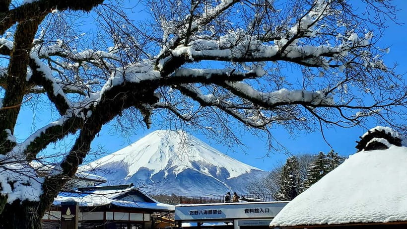 Mount Fuji & Hakone Full-Day Private Tour (Customizable) - Oshino Hakkai: eight ponds, koi feeding, and snack time