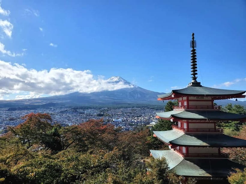 Mount Fuji & Hakone Full-Day Private Tour (Customizable) - Hakone Ropeway: the cloud-level viewpoint that makes the trip feel complete