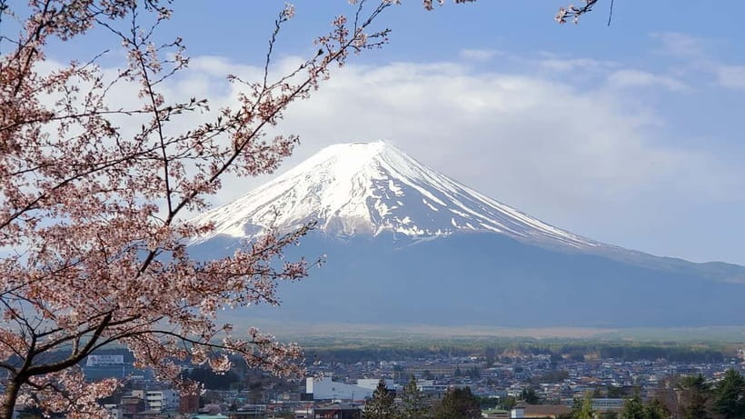 Mount Fuji & Hakone Full-Day Private Tour (Customizable) - Chureito Pagoda photo stop, and how to get the shot right
