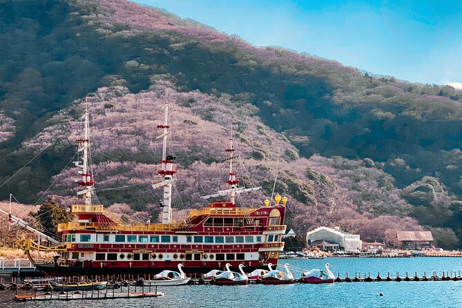Mount Fuji, Hakone & Lakekawaguchiko Private Group Tour by Car. - Why this private Mount Fuji car tour works better than DIY