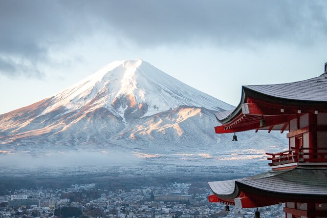 Mount Fuji, Hakone & Lakekawaguchiko Private Group Tour by Car. - Stops 2 and 3: Oishi Park and Kitaguchi Hongu Fuji Sengen Jinja