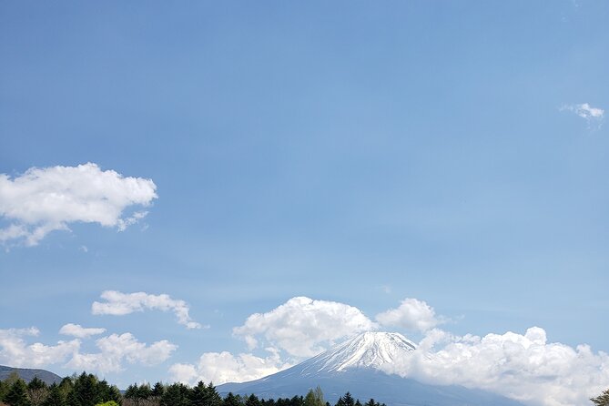 Mount Fuji, Hakone & Lakekawaguchiko Private Group Tour by Car. - Stop 5: Oshino Hakkai, the old village feel near Fuji