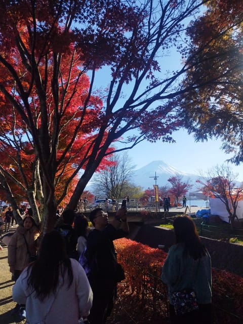 Mount Fuji - Hakone & Onsen Full Day Private Tour - Hakone Open-Air Museum: art outside, foot bath with citrus
