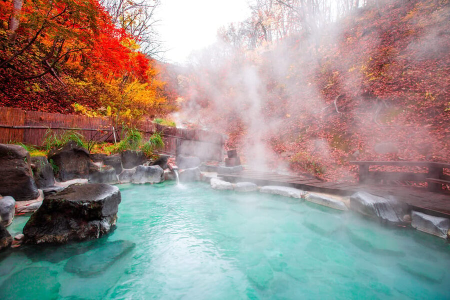 Mount Fuji - Hakone & Onsen Full Day Private Tour - Pickup in Tokyo and the drive rhythm you should expect