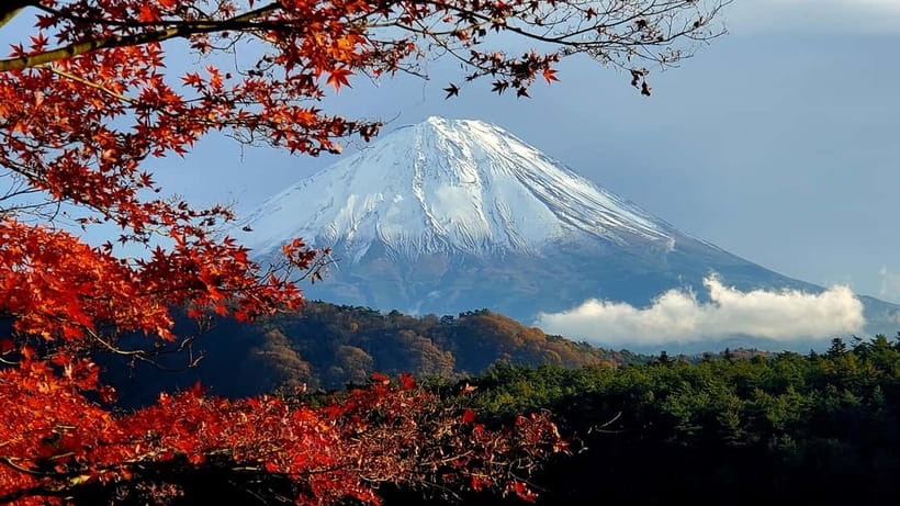 Mount Fuji & Hakone Private Tour with Bullet Train Return - Key things that make this tour click