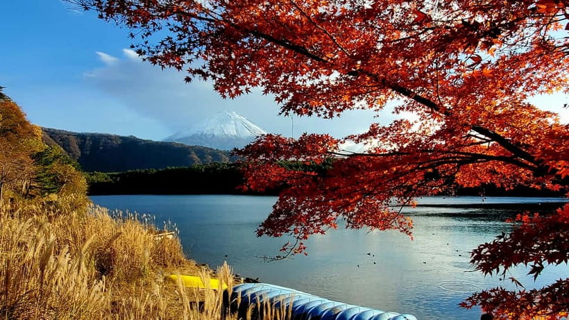 Mount Fuji & Hakone Private Tour with Bullet Train Return - Mount Fuji and Hakone in one day, without the train stress