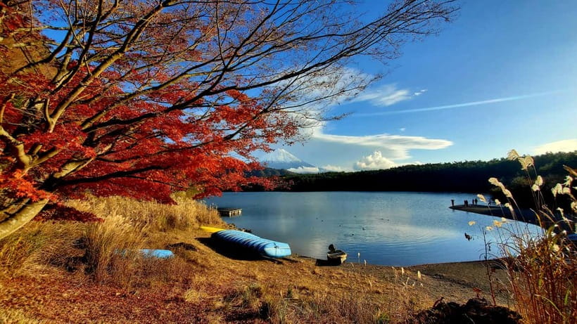 Mount Fuji & Hakone Private Tour with Bullet Train Return - Pickup in Tokyo, and how to set yourself up for an easy meetup