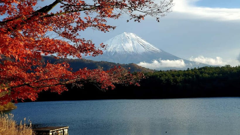 Mount Fuji & Hakone Private Tour with Bullet Train Return - Fujikawaguchiko and Lake Yamanaka, Fuji views paired with lake time