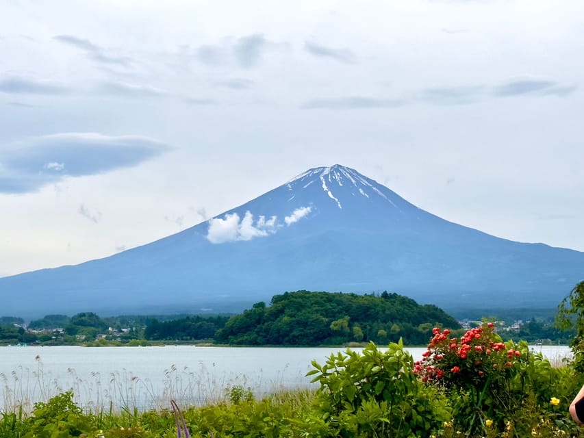 Mount Fuji Hakone with English-speaking Guide - A private Mount Fuji and Hakone day trip from Tokyo, priced for groups up to 6