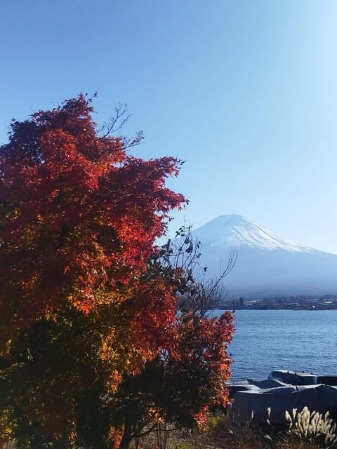 Mount Fuji-Lake Kawaguchi Private Tour with Bilingual Driver - Key things that make this tour worth your time