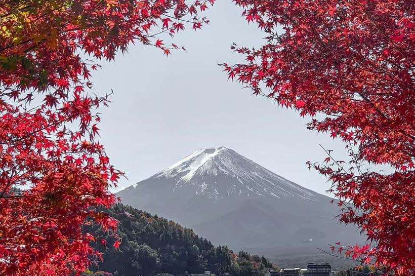Mount Fuji,Lake Kawaguchiko Private Tour By Car With Pick Up - Key points worth knowing before you go