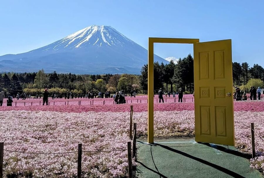 Mount Fuji,Lake Kawaguchiko Private Tour By Car With Pick Up - Fuji-Q Highland walk: a flexible last stretch for breaks and movement