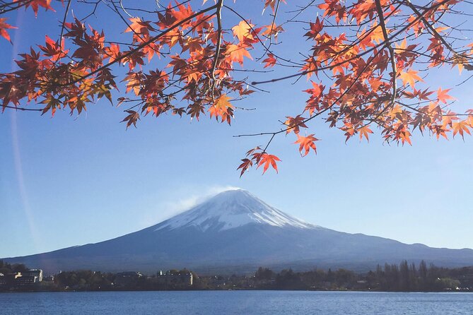 Mount Fuji (Mt. fuji) private tour by car with pickup from Tokyo - How the custom route really works in an 8 to 10 hour day
