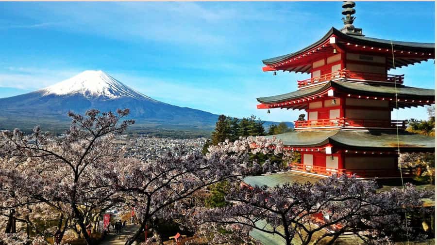 Mount Fuji One Day Private Tour With English Speaking Driver - Key Takeaways Before You Go