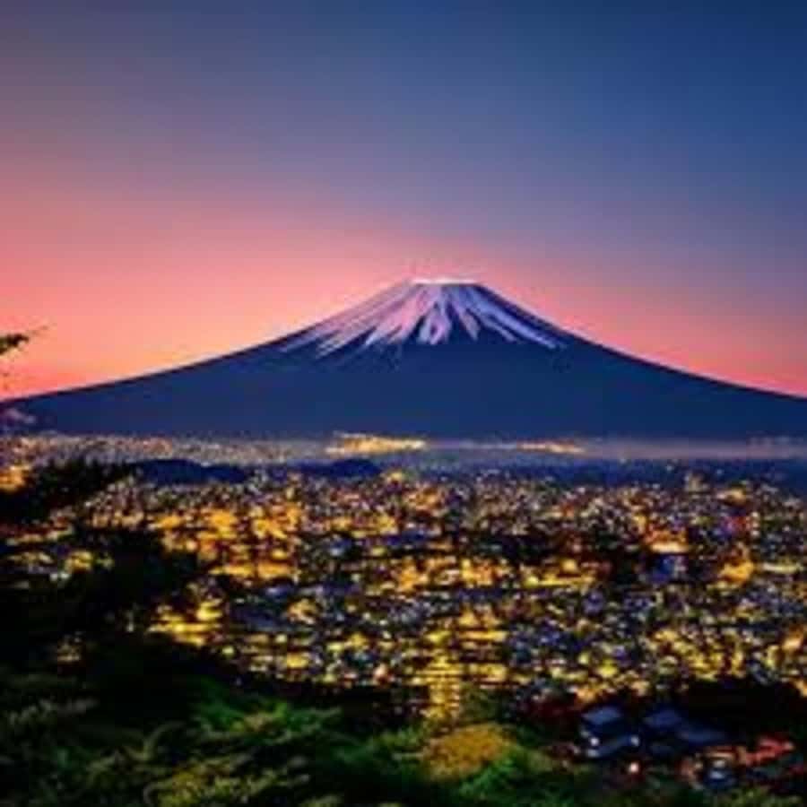 Mount Fuji One Day Private Tour With English Speaking Driver - Panoramic Ropeway and the Mt. Fuji 5th Station Option