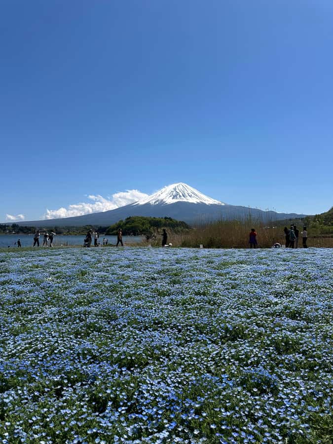 Mount Fuji One Day Private Tour With English Speaking Driver - Price and Value: What $354 Covers, and What You’ll Pay Extra