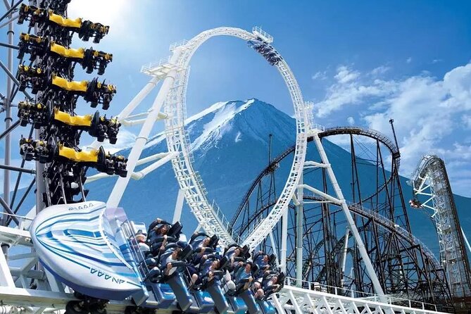 Mount Fuji Passes (optional) - Trains Included From Narita, Haneda, Shinjuku, and Yokohama