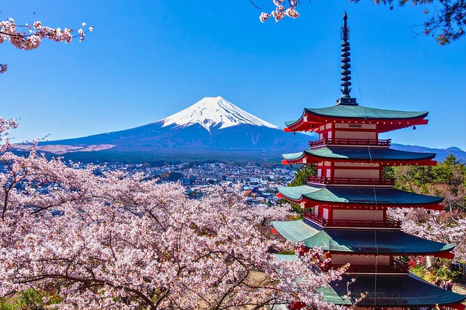 Mount Fuji Private Custom Tour with Local English Speaking Guide - Key highlights you will feel right away