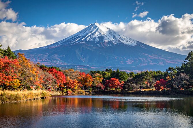 Mount Fuji Private Custom Tour with Local English Speaking Guide - Why this private Mount Fuji day trip works