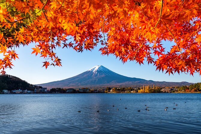 Mount Fuji Private Custom Tour with Local English Speaking Guide - Stop 2: Arakurayama Sengen Park and the Chureito Pagoda viewpoint