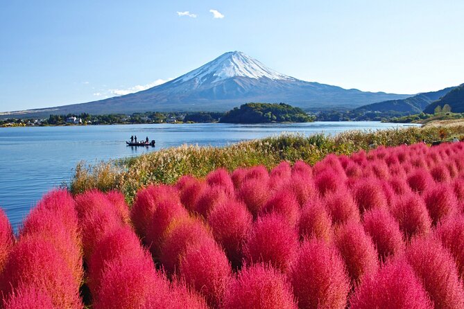 Mount Fuji Private Custom Tour with Local English Speaking Guide - Stops 3 and 4: Lake Kawaguchiko and Oishi Park for real Fuji Five Lakes views