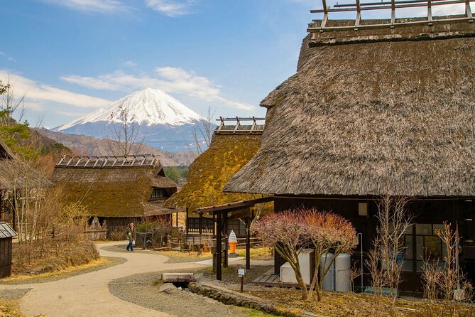 Mount Fuji Private Custom Tour with Local English Speaking Guide - Optional Stop 6: Oshino Hakkai’s eight spring fed ponds