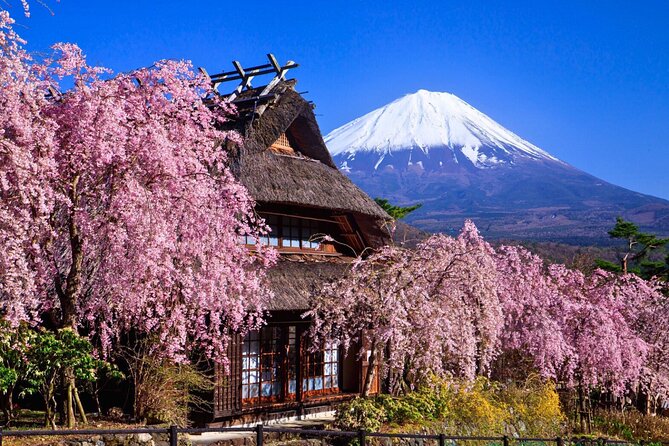 Mount Fuji Private Custom Tour with Local English Speaking Guide - Lucas the English speaking guide, and why it changes the whole day