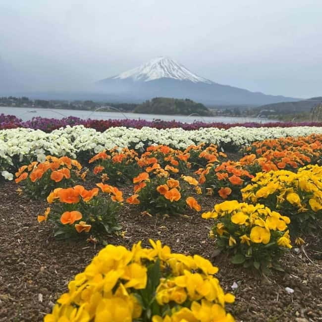 Mount Fuji Private day tour from Tokyo private & Customized - Lake Kawaguchiko and Oishi Park: when you need time to breathe