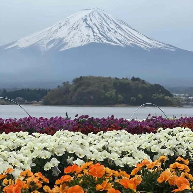 Mount Fuji Private day tour from Tokyo private & Customized - Shrine and Fujiyoshida stops that add culture, not just photos