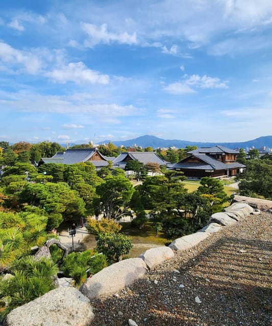 Mount Fuji Private day tour from Tokyo private & Customized - Practical realities: what to bring and what to avoid