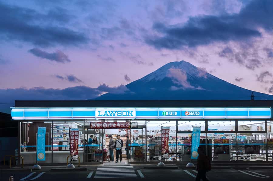 Mount Fuji Private Day Trip With Customizable Itinerary - Key Points That Matter for This Mount Fuji and Hakone Day
