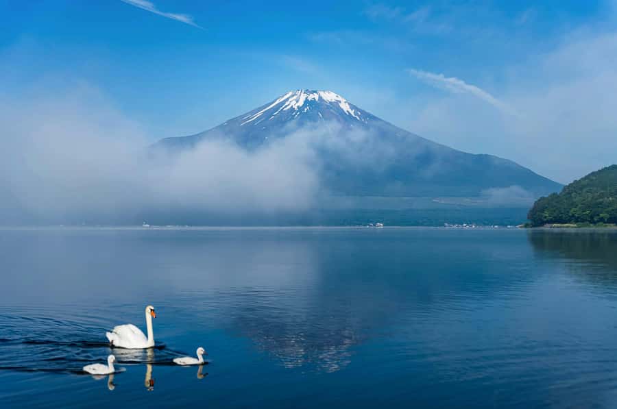 Mount Fuji Private Day Trip With Customizable Itinerary - Price and Value: What $505 Buys You for up to 5