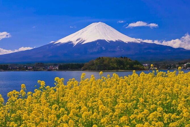 Mount fuji Private Tour - Private Means You Can Actually Shape the Day