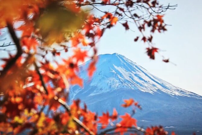 Mount fuji Private Tour - Oishi Park: Scenic Views and a Road That Feels Like Part of the Tour