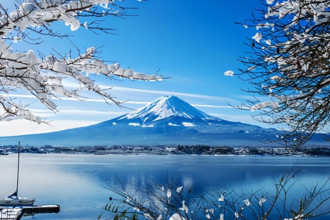 Mount Fuji Private Tour from Tokyo with English Speaking Driver - Key highlights that make this Mount Fuji trip work