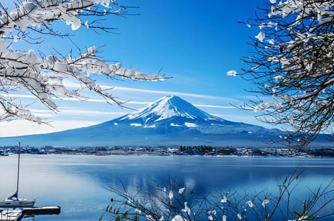 Mount Fuji Private Tour from Tokyo with English Speaking Driver - Stop 1: Chureito Pagoda viewpoints and photo time