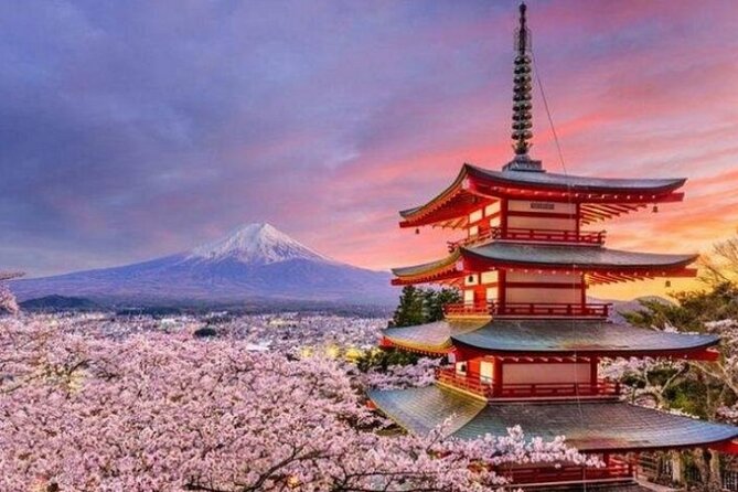 Mount Fuji Private Tour from Tokyo with English Speaking Driver - Stop 2: Lake Kawaguchiko reflection views and lakeside breaks