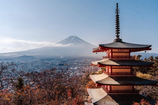 Mount Fuji Private Tour from Tokyo with English Speaking Driver - Stop 4: Mt. Fuji 5th Station for altitude air and mountain views