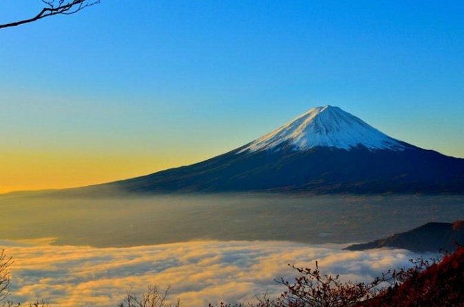 Mount Fuji Private Tour from Tokyo with English Speaking Driver - Stop 5: Gotemba Premium Outlets and a practical shopping finish