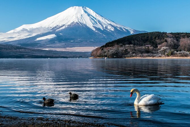 Mount Fuji Private Tour With English Speaking Driver - Oshino Hakkai ponds: short walk, strong atmosphere