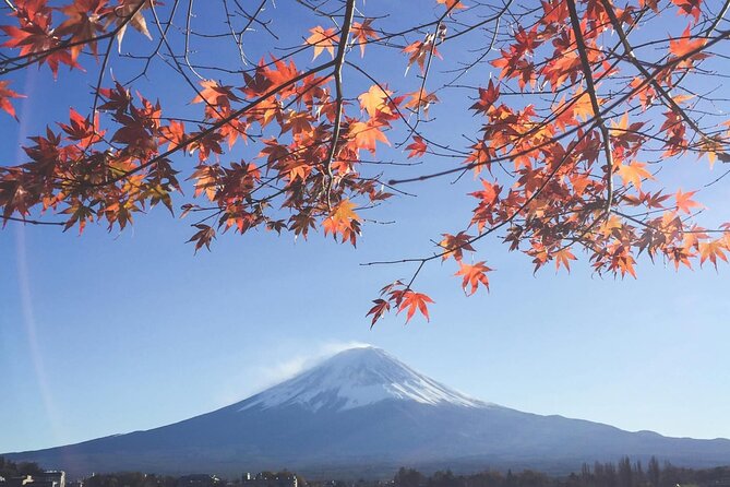 Mount Fuji Private Tour With English Speaking Driver - Price and value: $400 for up to 6 people