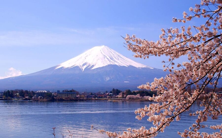 Mount Fuji Pvt. Full Day Trip with English-Speaking Driver - A private Mount Fuji day built around viewpoints, not chaos