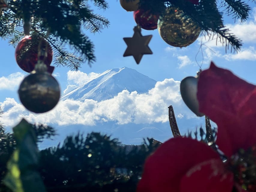 Mount Fuji Trip with English speaking guide ( customizable) - Key points worth your time