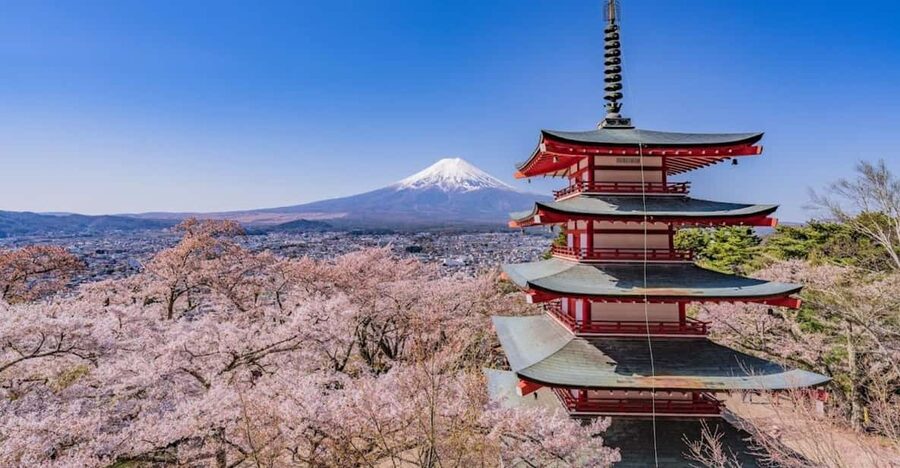 Mount Fuji Trip with English speaking guide ( customizable) - Why a 12-hour private Mount Fuji day trip from Tokyo is actually useful